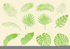 Free Palm Leaves Clipart Image