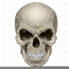 Scary Skull Clipart Image