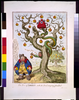 The Tree Of Liberty,-with, The Devil Tempting John Bull  / Js. Gy. Inv. & Ft. Image