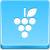 Grapes Icon Image