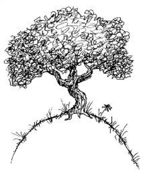 clip art tree roots. Tree With Roots image