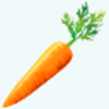 Carrot Icon Image