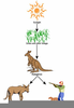 Kangaroo Food Chain Image