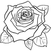 Rose Drawing Simple Image