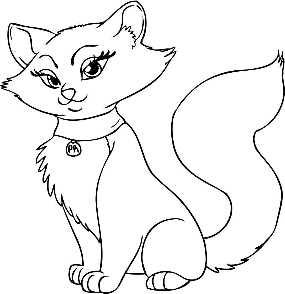 How To Draw A Cartoon Cat Step Free Images at