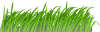 Grass Texture Clip Art