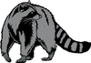 Clipart Racoon Image