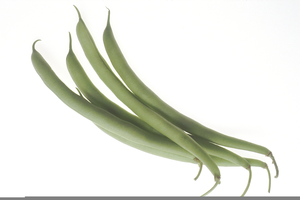 Free String Bean Clipart Image