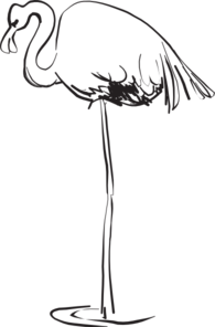 Flamingo Outline Art Clip Art