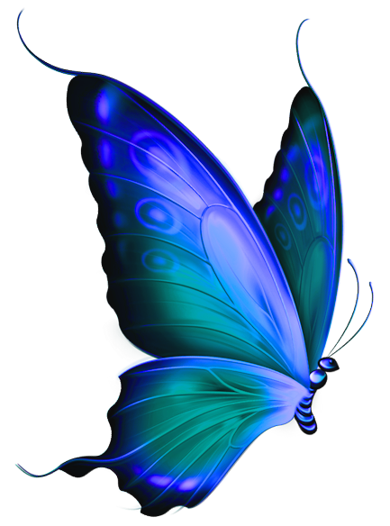 green butterfly clip art - photo #39