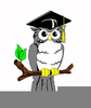 Clipart Wise Old Owl Image
