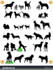 Australian Shepherd Clipart Free Image