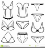 Download Free Lingerie Clipart Image