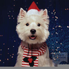 Christmas Puppies Clipart Image