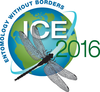 Ice Logo Art Image