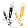 Shock Of Wheat Clipart Image