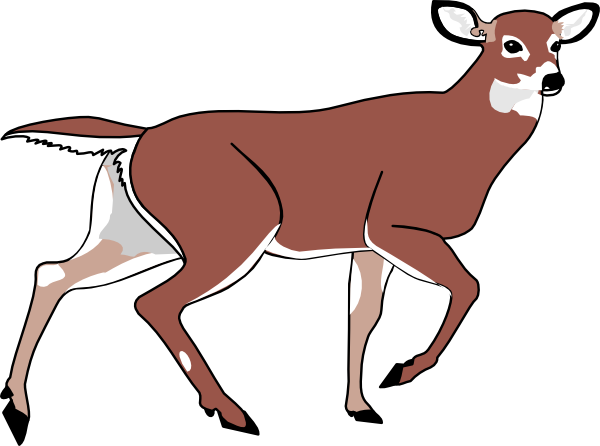 free whitetail deer clipart - photo #47