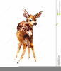 Free Watercolor Deer Clipart Image