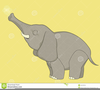 Clipart Elephant Trunk Image