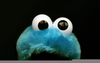 Cute Cookie Monster Image