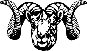 Dall Sheep Ram Clip Art