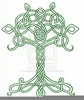 Celtic Tree Of Life Clipart Image