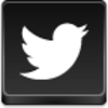 Twitter Bird Icon Image