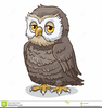 Clipart Wise Old Owl Image
