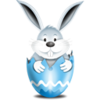 Bunny In Egg Blue Image