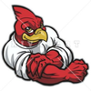 Fighting Cardinal Clipart Image