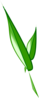 V Leaf Clip Art