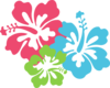 Hibiscus Pinkbluegreen Clip Art