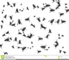 Flies And Bugs Clipart Image