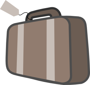 travel handbags online