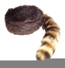 Coon Skin Cap Clipart Image