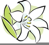 Easter Lily Clipart Image