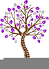 Free Spine Clipart Image