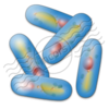 Bacteria 12 Image