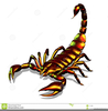 Scorpian Clip Art Image