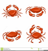 Clipart Of Cartoon Crab Image