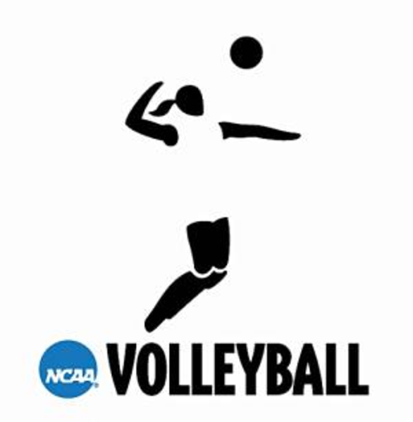 volleyball hitter clipart - photo #44