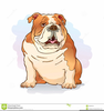 Bulldog Clipart Png Image
