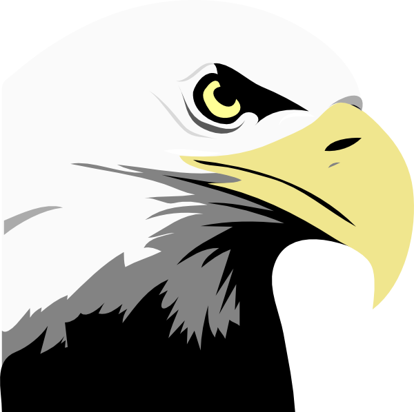 Bald Eagle Head Clip Art at Clker.com - vector clip art online ...