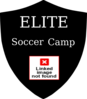 Elite Soccer With Ball 2 Clip Art