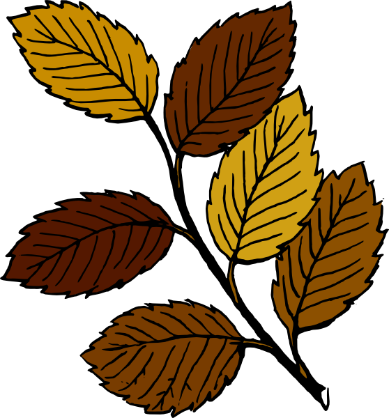free clipart fall leaves - photo #43