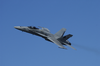 Vfa-147 Hornet - High Speed Pass Image