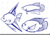 Free Betta Fish Clipart Image