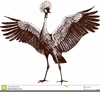 Crane Bird Clipart Image