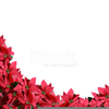 Border Clipart Free Holly Image