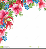 Blue Hibiscus Clipart Image